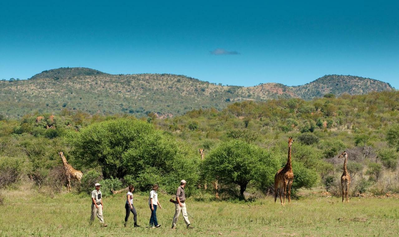 Madikwe Safari Lodge Melorane Luaran gambar