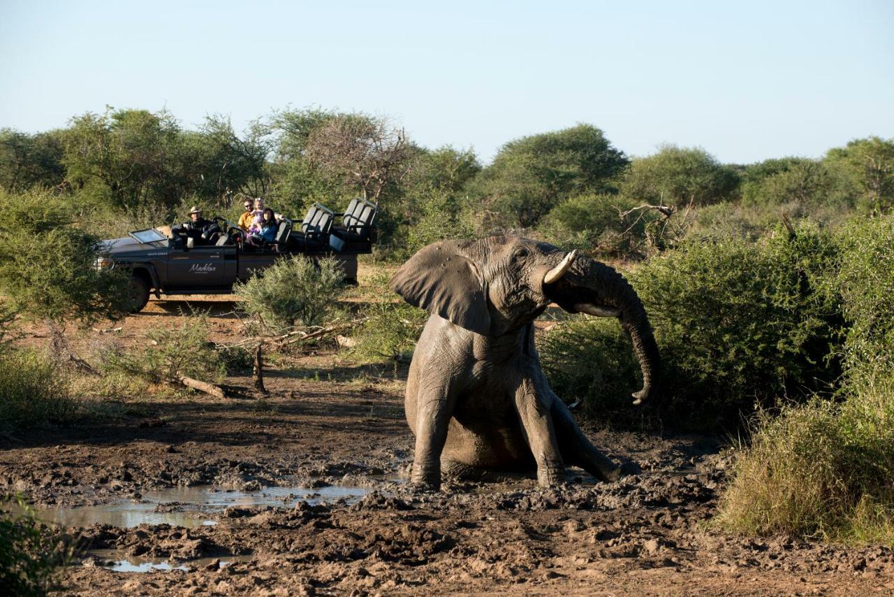 Madikwe Safari Lodge Melorane Luaran gambar